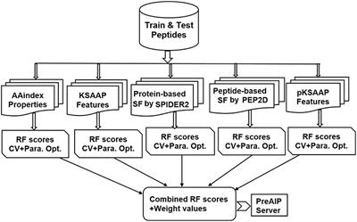 PreAIP: Computational Prediction of Anti-inflammatory Peptides by Integrating Multiple Complementary Features